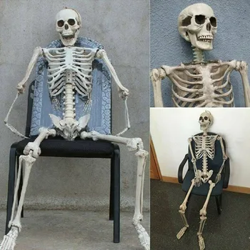 Plástica Crânio De Esqueleto Para A Barra De 2023 Halloween Cosplay Filhos Esqueleto Da Casa Assombrada, Decoração De Halloween, Decoração Para A Casa