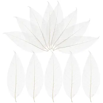 100pcs Magnolia Flores Secas Folha Seca de Amostra Indicador de Cartão de Flores Artificiais Scrapbook DIY de Artesanato Branco Decoração de Casamento