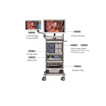 Profissionais em Full-HD Endoscopia Endoscópio Sistema de geração de Imagens Para a cirurgia